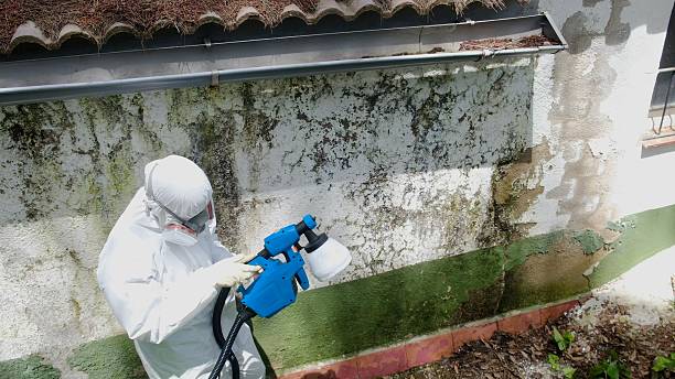 Trusted Mold Inspection service in Groveland, MA - Cheap Mold Removal